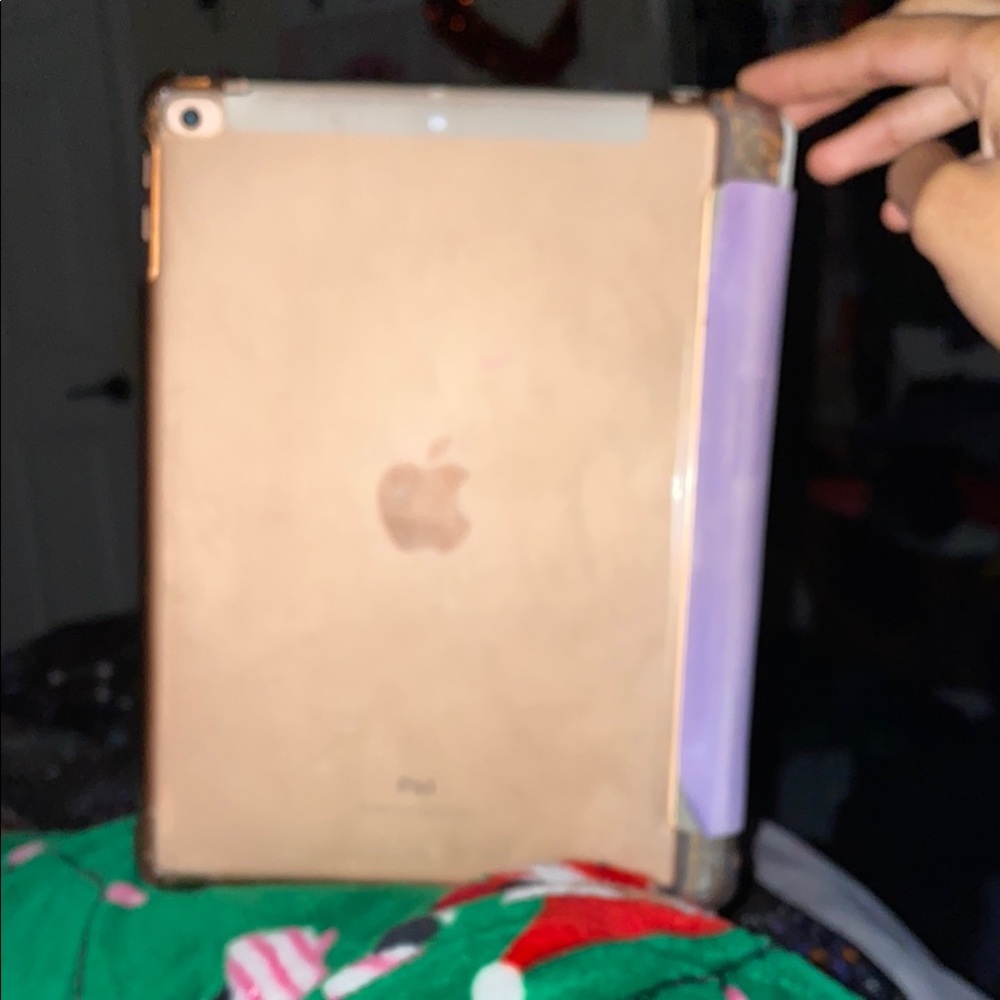 Apple iPad with Case